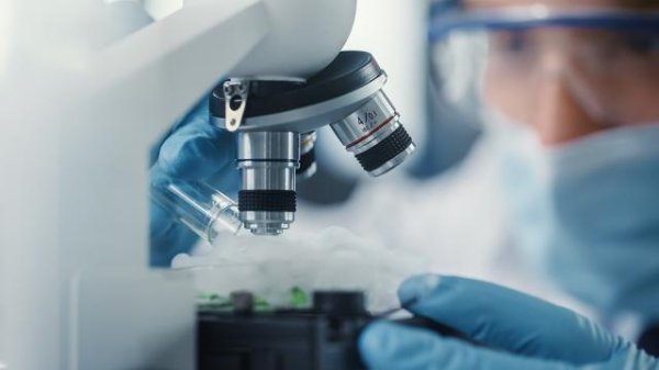 赤盈配资 科创板第五套标准重启后首单上会，7月1日禾元生物迎考