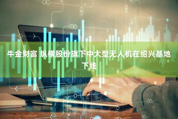 牛金财富 纵横股份旗下中大型无人机在绍兴基地下线